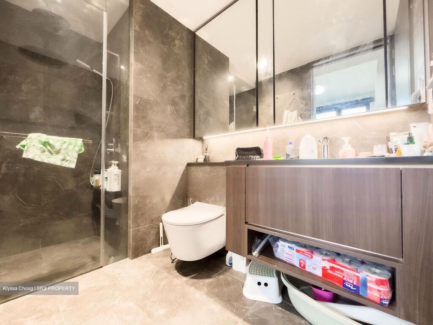Kopar At Newton (D9), Apartment #463013451
